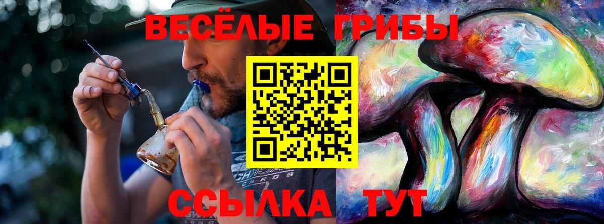 Галлюциногенные грибы GOLDEN TEACHER Ивантеевка